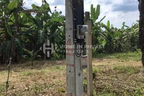 Земельный участок в Май Кхао, Таиланд  № 130920 - фото 8
