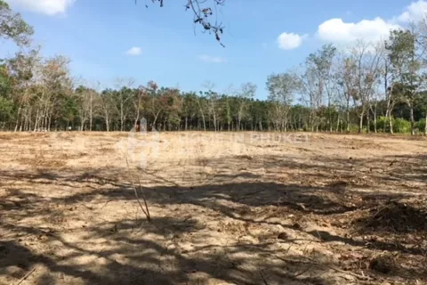 Земельный участок в Май Кхао, Таиланд  № 130920 - фото 3