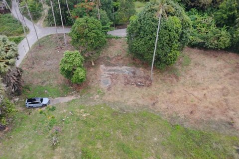 Земельный участок в Самуи, Таиланд № 133042 - фото 1