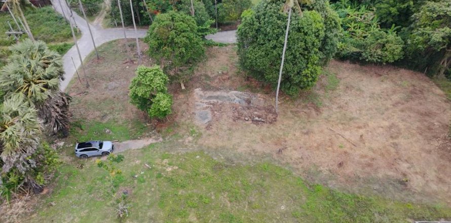 Земельный участок в Самуи, Таиланд № 133042