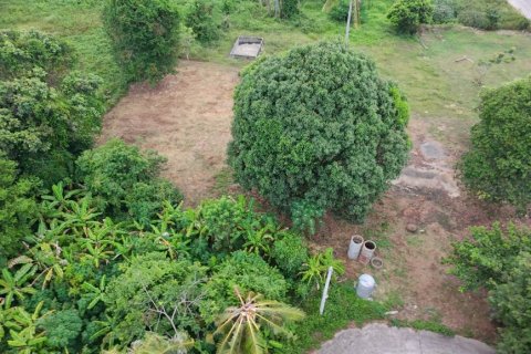 Земельный участок в Самуи, Таиланд № 133042 - фото 5