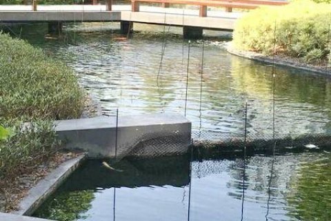 Кондоминиум с 3 спальнями в Бангкоке, Таиланд № 143654 - фото 10