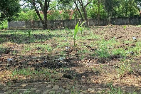 Land in Samut Prakan, Thailand 1828 sq.m. № 142679 - photo 2