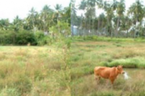 Terrain à Ko Lanta Yai, Thaïlande 36800 m2 № 141891 - photo 2