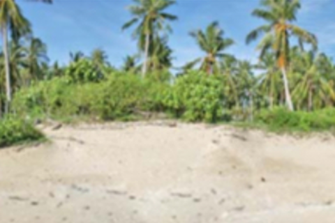 Terrain à Ko Lanta Yai, Thaïlande 36800 m2 № 141891 - photo 3