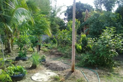 House in Chiang Kham, Thailand 3 bedrooms № 141889 - photo 11