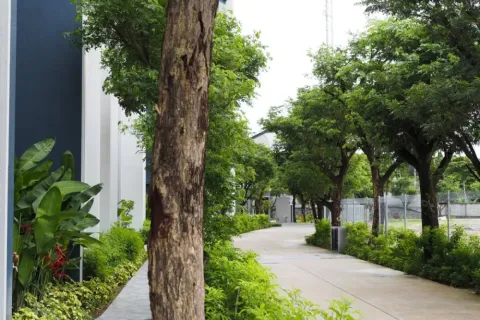 Apartment in Phuket, Thailand 2 bedrooms № 107362 - photo 27