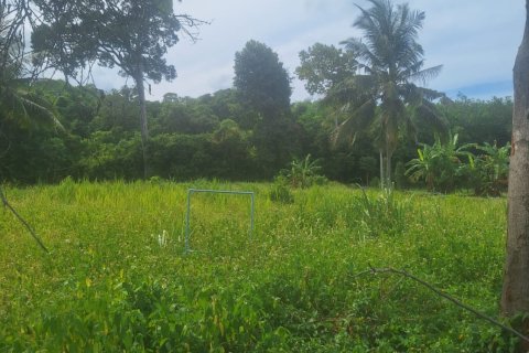 Land in Ko Samui, Thailand № 126877 - photo 9