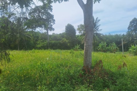 Land in Ko Samui, Thailand № 126877 - photo 8
