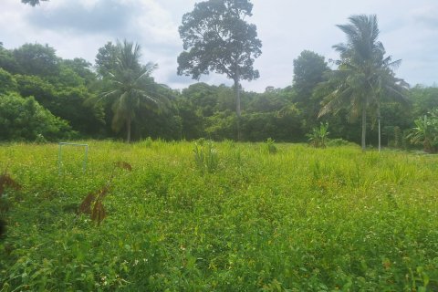 Land in Ko Samui, Thailand № 126877 - photo 4