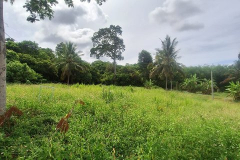 Land in Ko Samui, Thailand № 126877 - photo 3