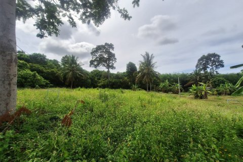 Land in Ko Samui, Thailand № 126877 - photo 1