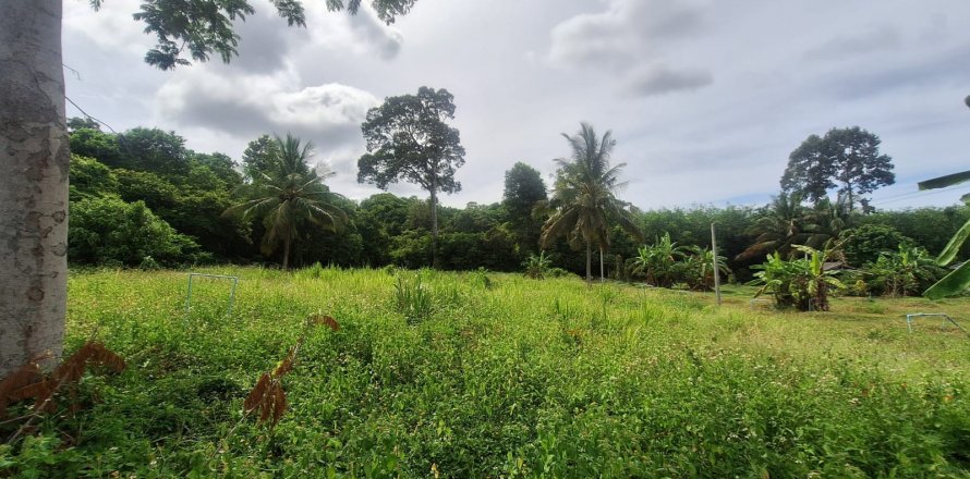 Land in Ko Samui, Thailand № 126877