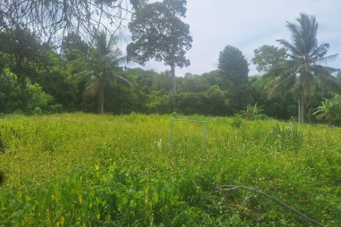 Land in Ko Samui, Thailand № 126877 - photo 5