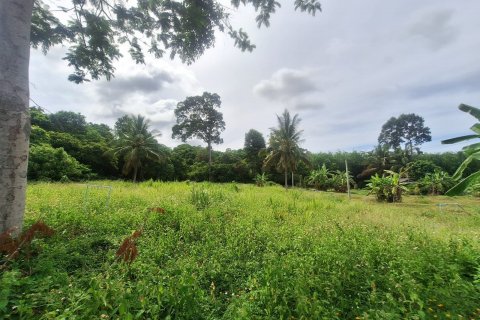 Land in Ko Samui, Thailand № 126877 - photo 2