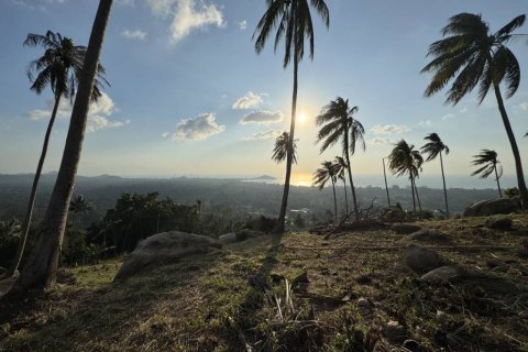 Land on Ko Samui, Thailand № 119382 - photo 5