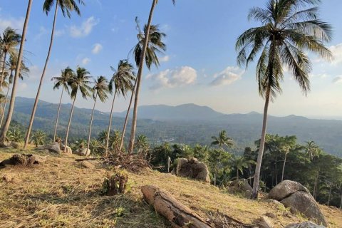 Land on Ko Samui, Thailand № 119382 - photo 6