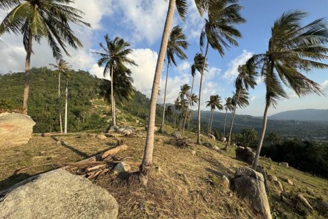 Land on Ko Samui, Thailand № 119382 - photo 7