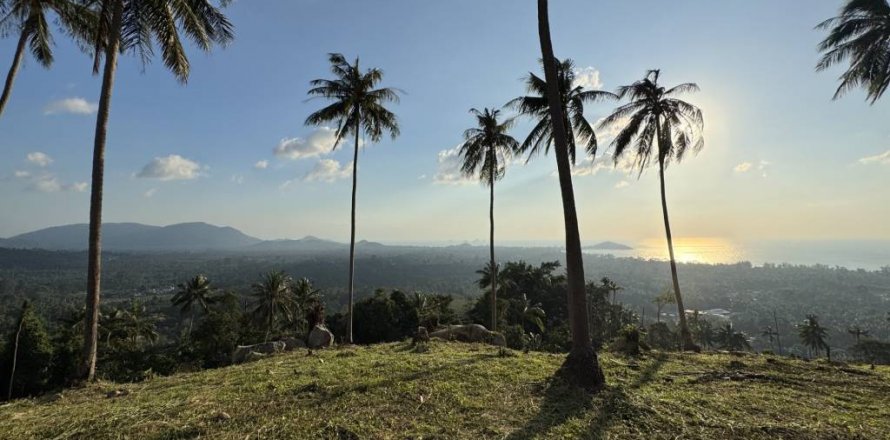 Land on Ko Samui, Thailand № 119382