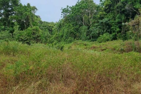 Земельный участок в Сураттхани, Таиланд  № 125840 - фото 5