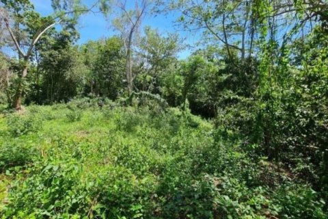 Земельный участок в Сураттхани, Таиланд  № 125840 - фото 4