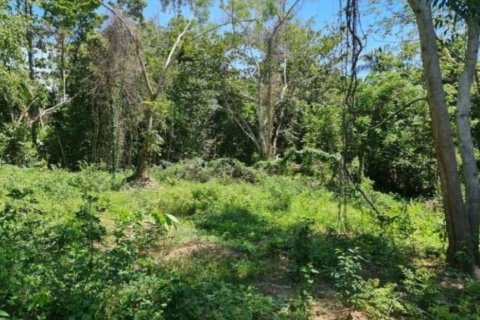 Земельный участок в Сураттхани, Таиланд  № 125840 - фото 2