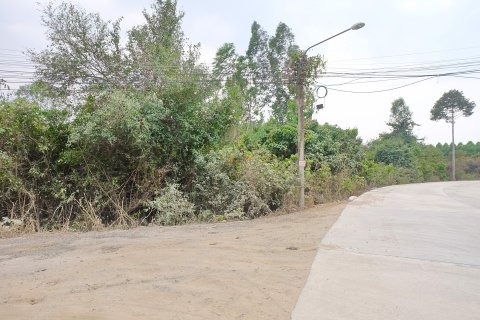 Terrain à Pattaya, Thaïlande № 100237 - photo 8