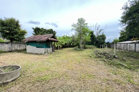 Land in Chiang Rai, Thailand № 144496 - photo 2