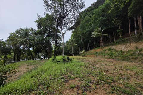 Земельный участок в Краби, Таиланд 70400м2  № 141716 - фото 13