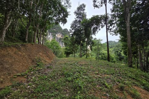 Земельный участок в Краби, Таиланд 70400м2  № 141716 - фото 1