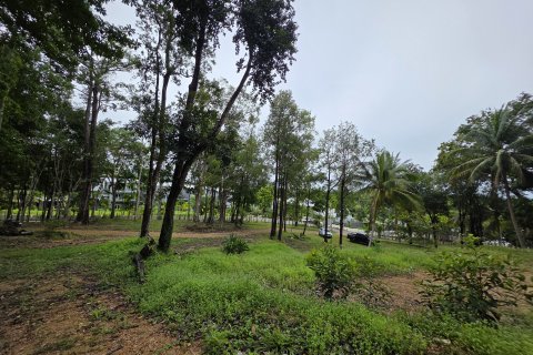 Земельный участок в Краби, Таиланд 70400м2  № 141716 - фото 15
