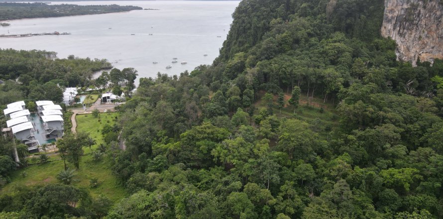 Terrain à Krabi, Thaïlande 70400 m2 № 141716