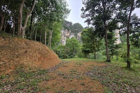 Земельный участок в Краби, Таиланд 70400м2  № 141716 - фото 3