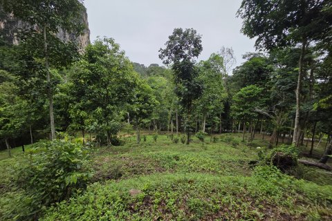 Земельный участок в Краби, Таиланд 70400м2  № 141716 - фото 11