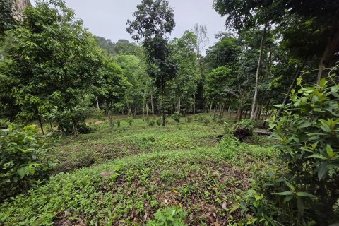 Земельный участок в Краби, Таиланд 70400м2  № 141716 - фото 9