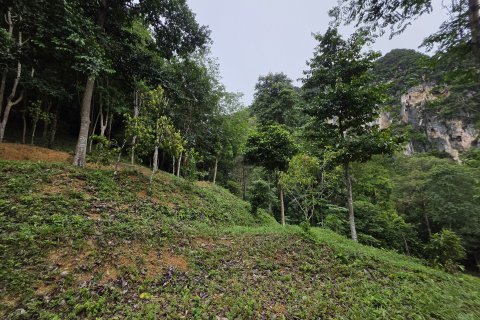 Земельный участок в Краби, Таиланд 70400м2  № 141716 - фото 7