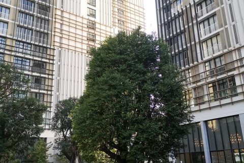 Кондоминиум с 1 спальней в Бангкоке, Таиланд № 142990 - фото 10