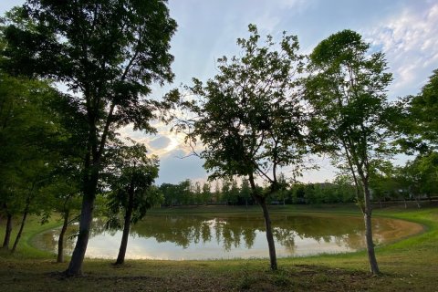 Maison à Chiang Mai, Thaïlande 3 chambres № 104384 - photo 6