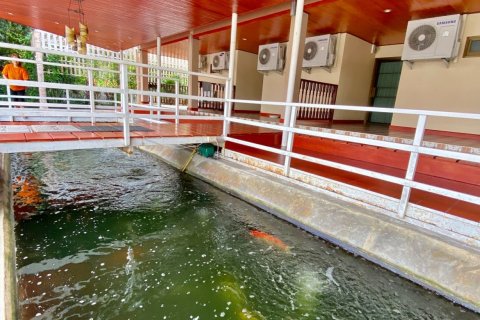 House in Chiang Mai, Thailand 12 bedrooms № 104385 - photo 22