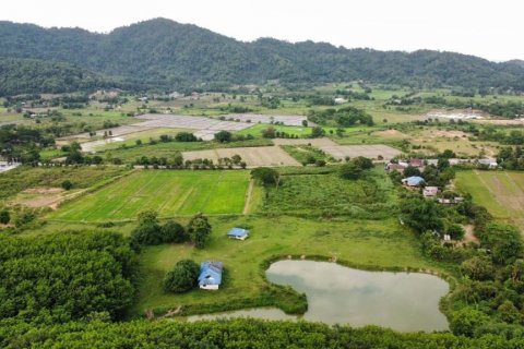 Land in Chiang Rai, Thailand № 104608 - photo 6