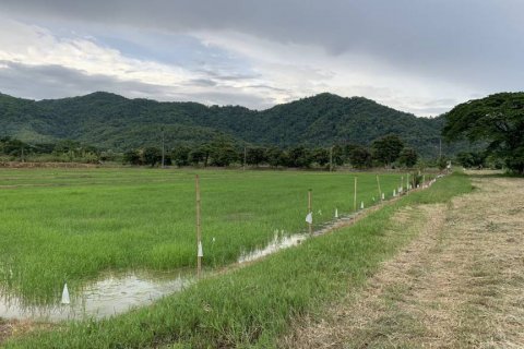 Land in Chiang Rai, Thailand № 104608 - photo 8