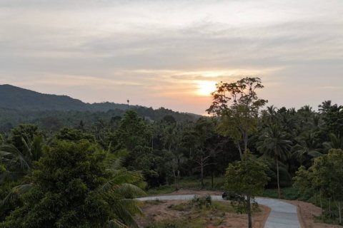 Земельный участок в Сураттхани, Таиланд  № 132501 - фото 6