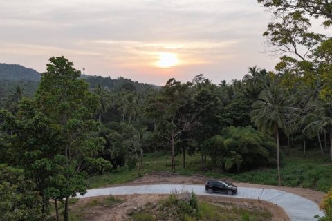 Земельный участок в Сураттхани, Таиланд  № 132501 - фото 4