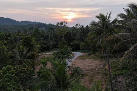 Земельный участок в Сураттхани, Таиланд  № 132501 - фото 5