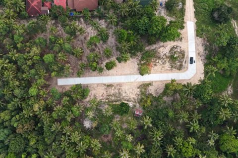 Земельный участок в Сураттхани, Таиланд  № 132501 - фото 10