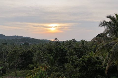 Земельный участок в Сураттхани, Таиланд  № 132501 - фото 1