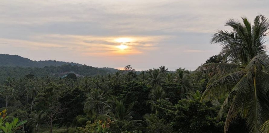 Земельный участок в Сураттхани, Таиланд  № 132501