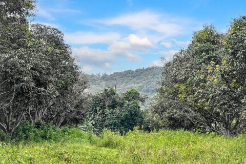 Land in Ko Samui, Thailand № 124431 - photo 8