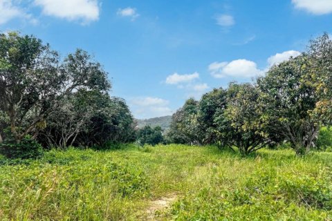 Land in Ko Samui, Thailand № 124431 - photo 6