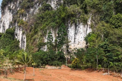 Земельный участок в Краби, Таиланд  № 124789 - фото 2